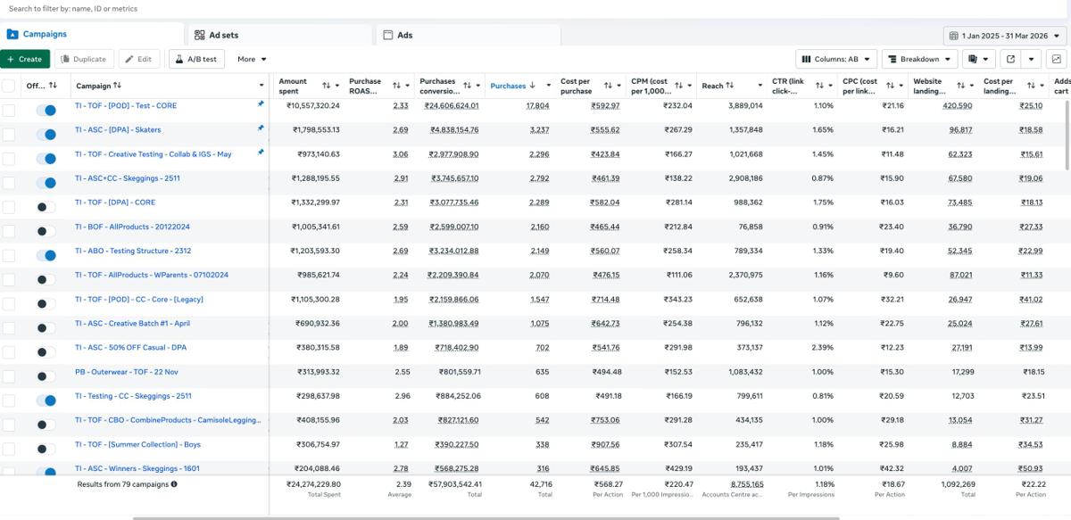 Meta campaign performance