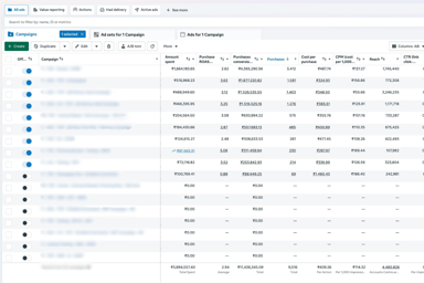 Meta Ads Manager - campaign performance